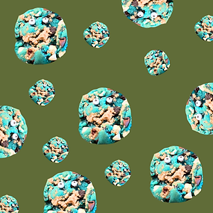Cookie Monster Cookies