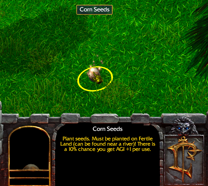 Corn Seeds