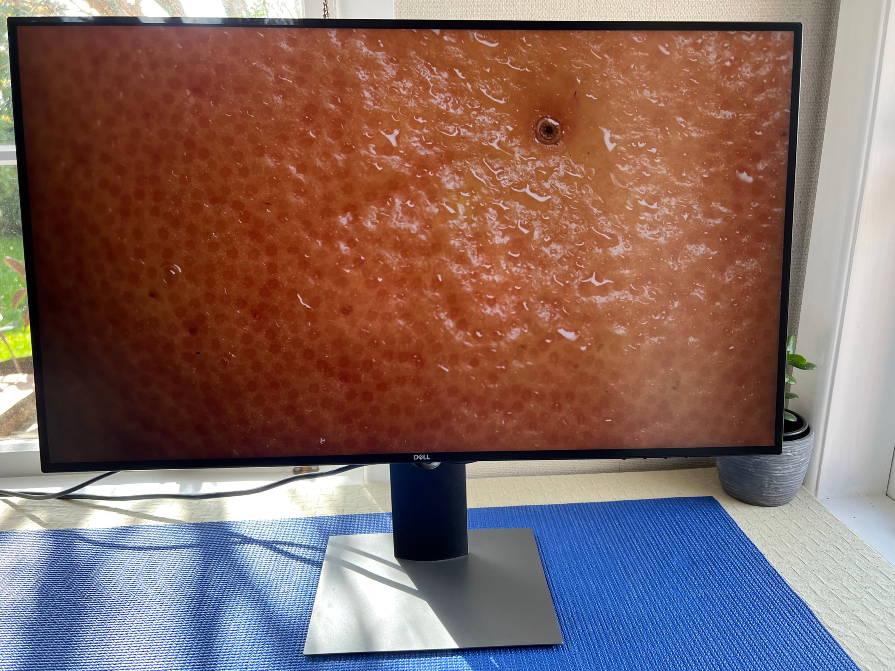 Beautiful Dell UltraSharp U2719D 27" QHD 2K 2560X1440 UltraSlim IPS Business Mon