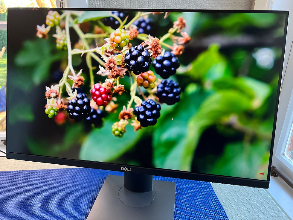 Thumbnail: High quality & beautiful Frameless Dell P2421D 24" QHD 2K Ergonomic IPS LED Busi