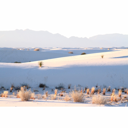 White Sands