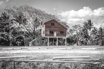 House in the Farming Countryside 5