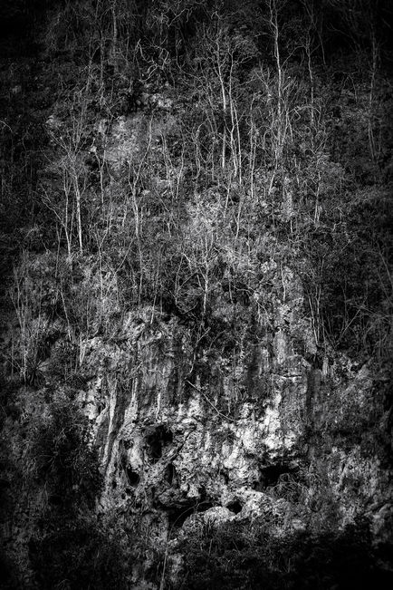 Along the Cayo River - Rock Detail