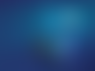 Secure Online Banking and Digital Wallets