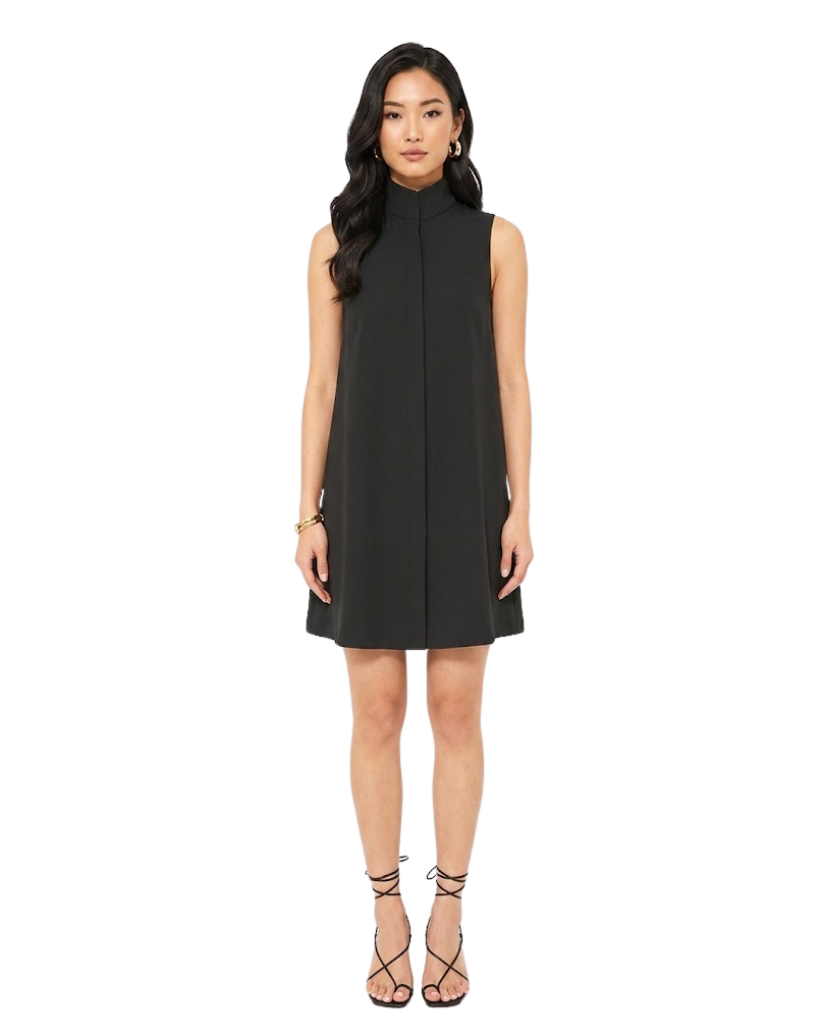Black Sleeveless Charlie Dress