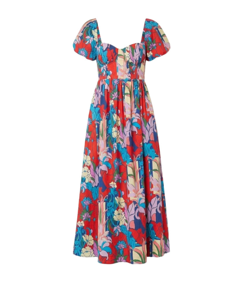 Climbing Cosmos Valerie Dress