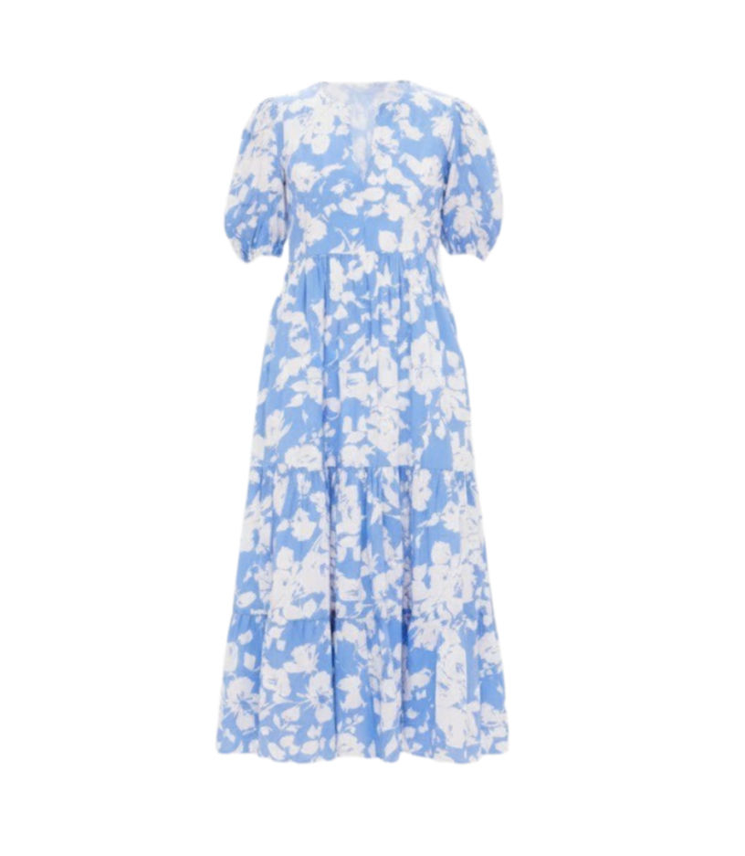 Blue and White Floral Cisco Maxi Dress