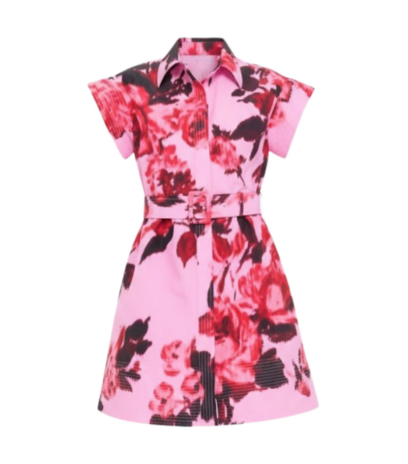 Cerise Blossom Mini Chloe Dress