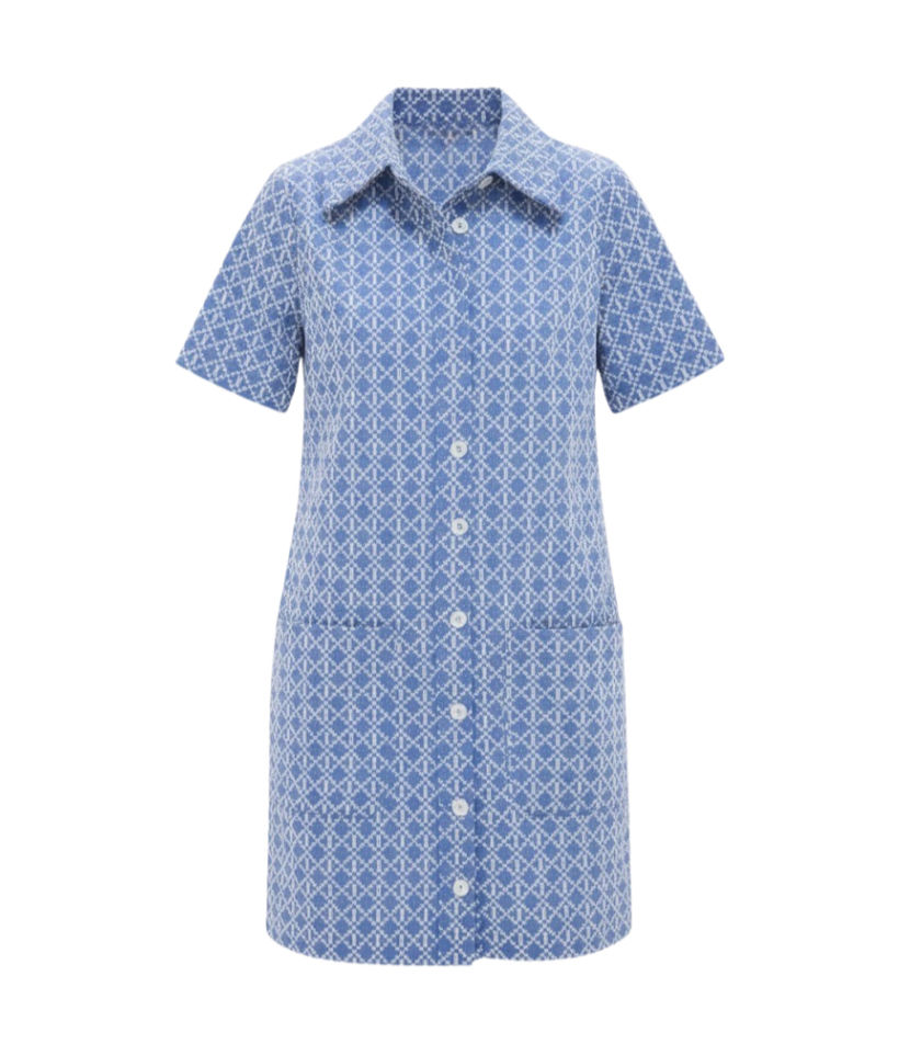 Denim Embroidered Lacie Dress