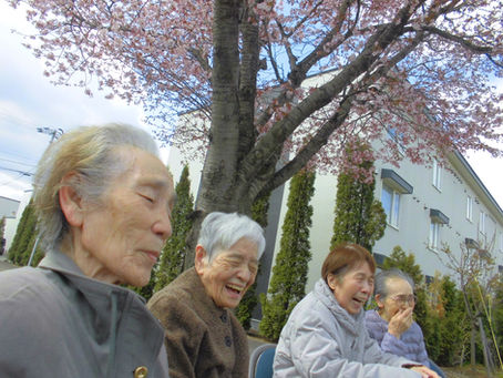 桜見学🌸