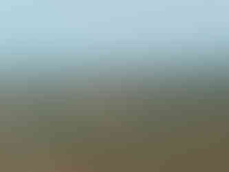 In the middle of nowhere, Birao, Central African Republic.