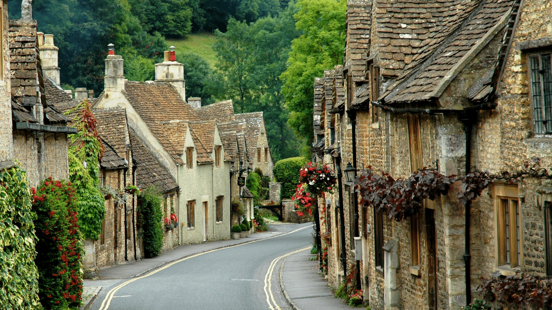 Cotswolds