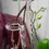 Miniaturbild: Glas Rispenhalter, Orchideen Rispenhalter