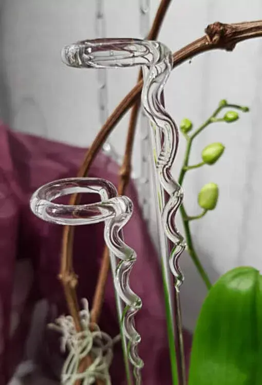 Glas Rispenhalter, Orchideen Rispenhalter