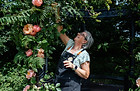 Hannahs_wedding_flowers_high-res_-06 - Nia Bradley-Hobbs.jpg