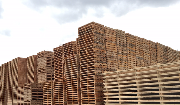 pallets pic_edited.jpg