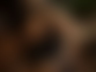 Tantra Paarmassage in Berlin: Was sie ist, was sie nicht ist – und was euch erwartet