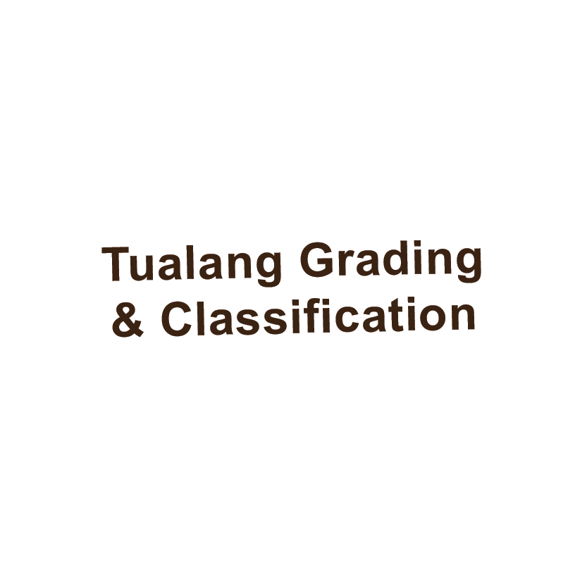 pic grading.png