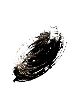 The heart