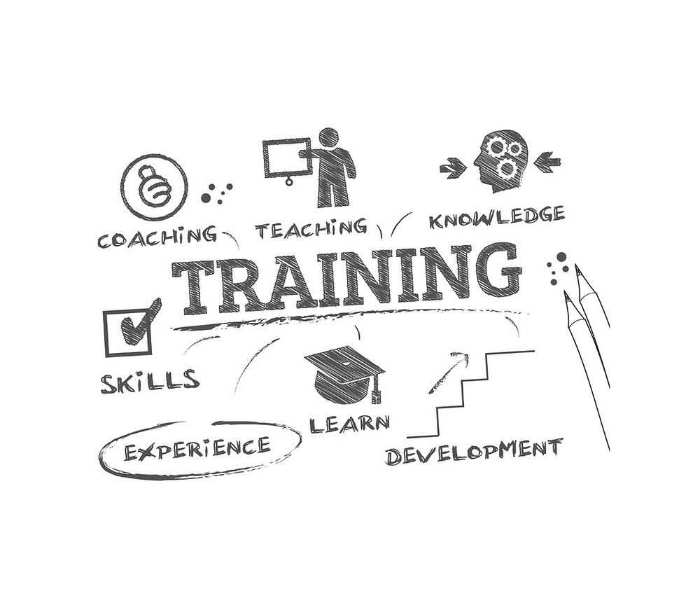 10. Basis Training.png