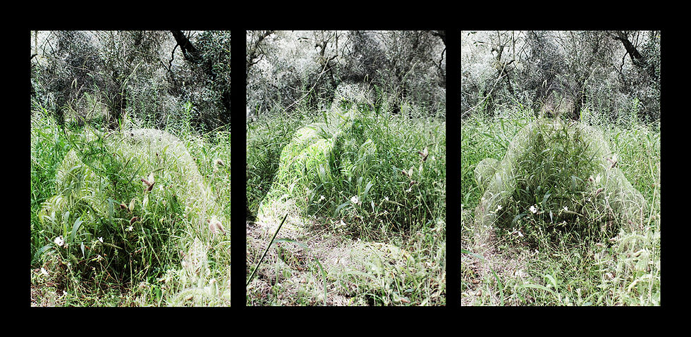 Trittica dell'Attesa, 2014