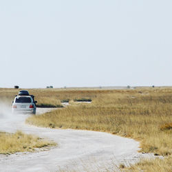 69696776_2653926514652712_40009063986647