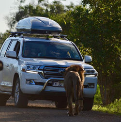 28871882_1840920909286614_45459301077236