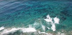 Sea.png