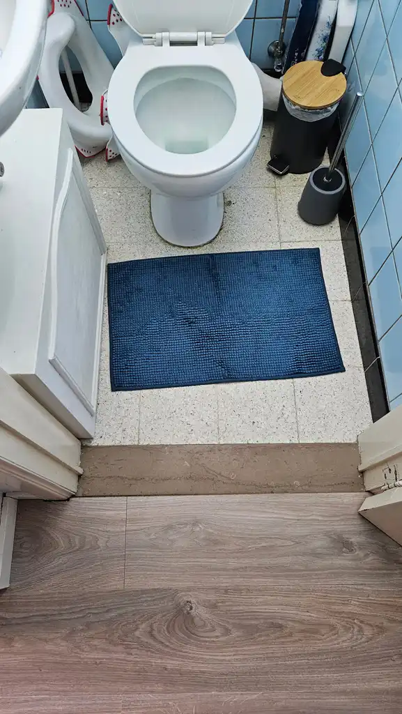 WC avant rénovation avec ancien carrelage clair au sol, murs carrelés bleus et seuil abîmé devant la porte.