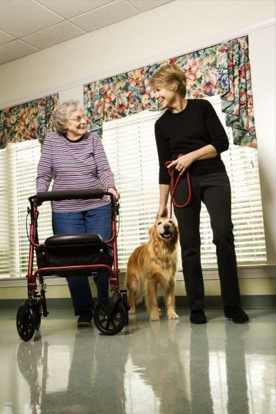 The Difference Between Home Support and Care Services