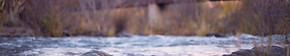 Bridge over a River