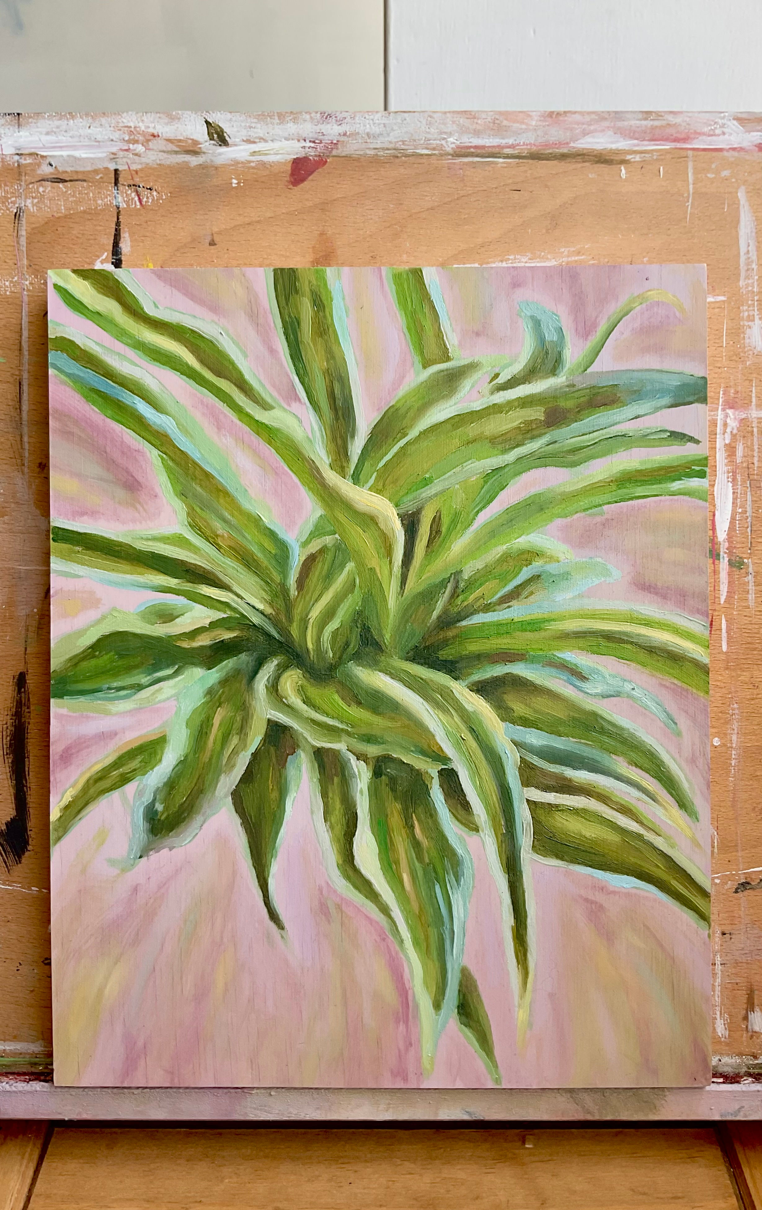 Spider Ivy, 8x10 inch Original