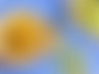 Fruchtege Mirabellen-Chutney (vegan)