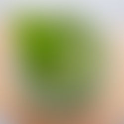 Dräiblat-Wierz-Salz