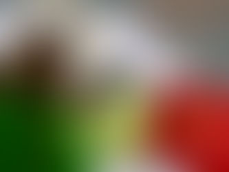 Dem Plato seng léiwste Fajitas ;-)