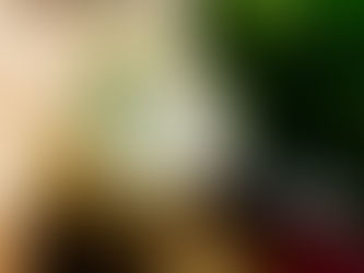 Hausmaacher vegan Sauerrahm