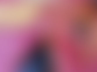 Avocado-Schwaarzbier-Schokokuch (vegan)