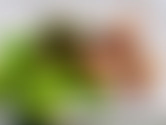 Päckelcher aus dausend an enger Nuecht - Buedemhielänner Fatayer (vegan)