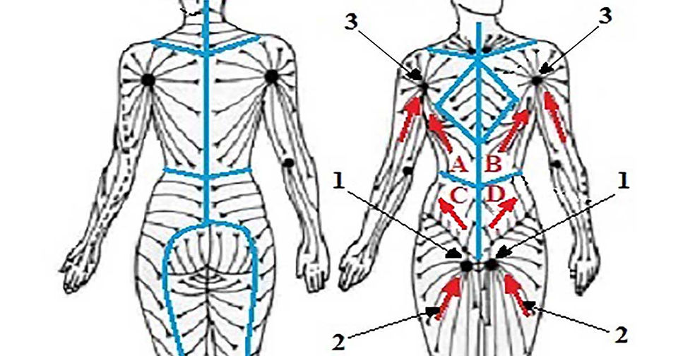 diagram of body lymphatic system