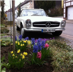 Weißer Mercedes-Benz 230 SL, Blumen