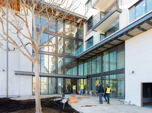 Tree Finds New Home at 7Empire in San Jose, CA