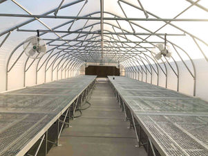 Contractors with Green Thumbs