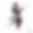 signart_001.png