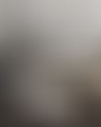 NOLA, ST. PETE & PONCE DE LEON