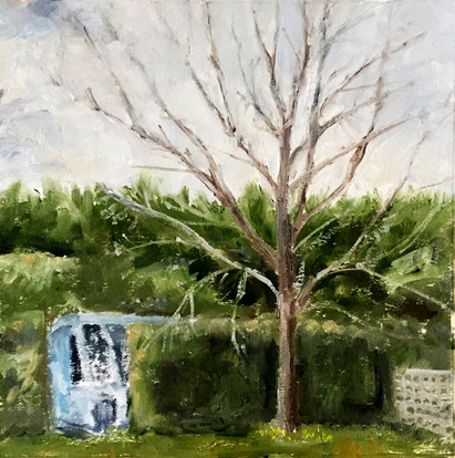 The bottom of my garden