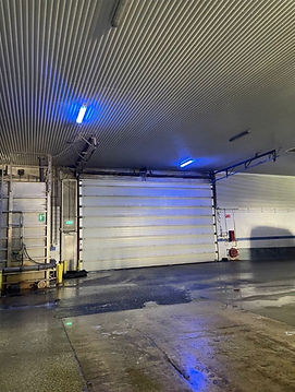 WhatsApp Image 2026-03-12 at 00.46.28.jpeg