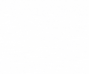Untitled design-2.gif