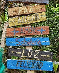 Ayahuasca Retreat Centre Peru