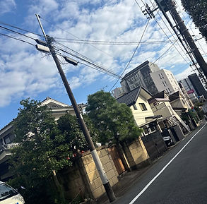 IMG_E8CFB67A812E-1.jpeg