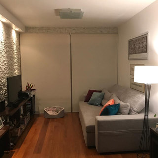 A casa também é dos pets